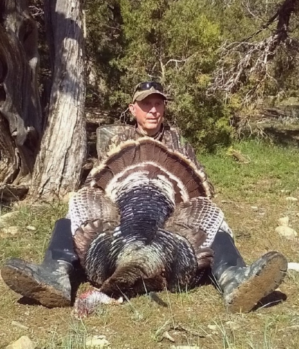 Turkey Huntings Turkey Huntings